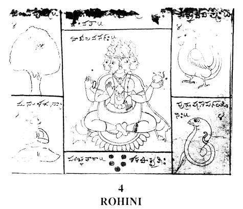 �������� Rohini